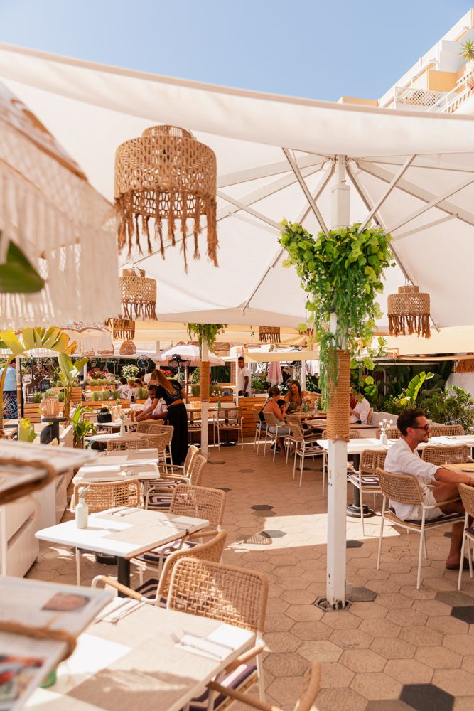 Nuestra terraza